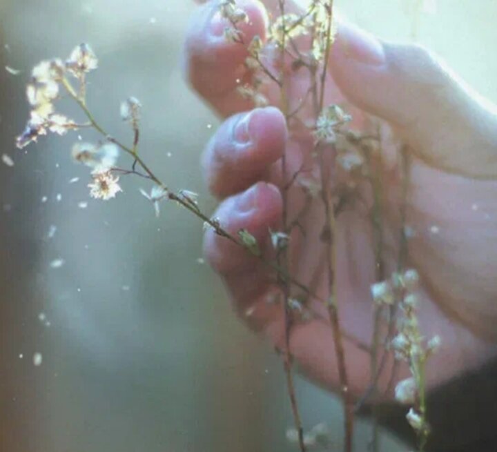 Яндекс. Картинки