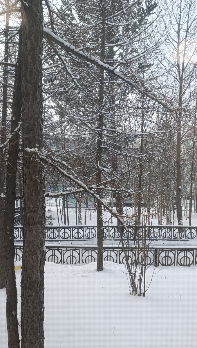 Вид из моего кабинета