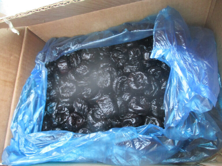    В Оренбуржье запретили ввоз двух тонн чернослива из Киргизии Кристина Просвиркина