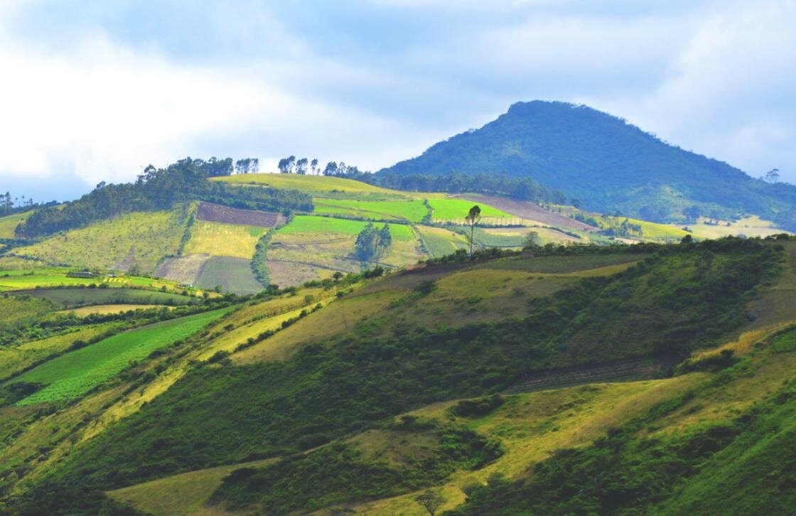    Холмы, покрытые растительностью:Flickr/Marcelo Jaramillo Cisneros