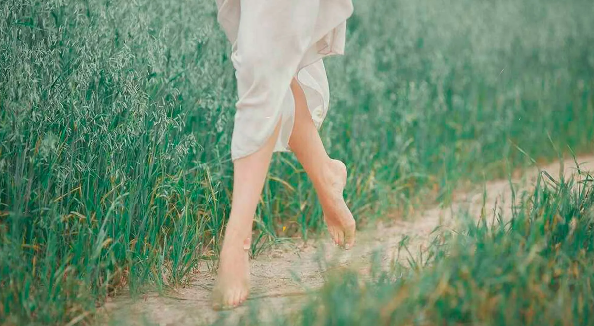 Яндекс картинки