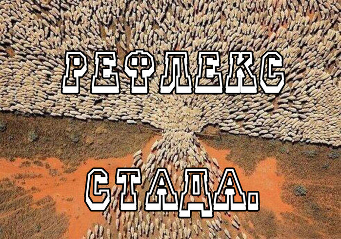 Из Яндекса 