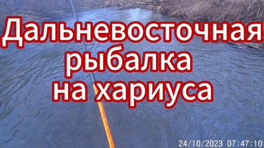 Дальневосточная рыбалка на хариуса🌴🐋🦈