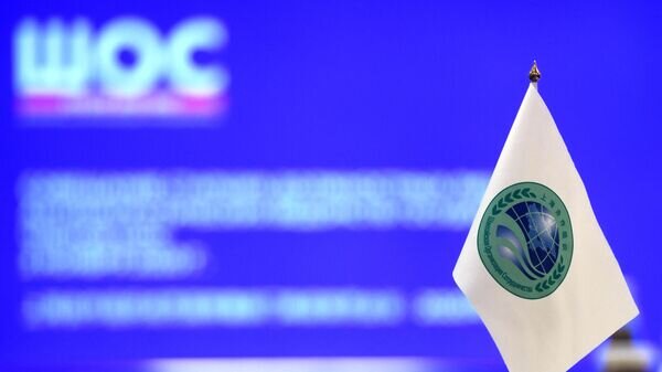    © Sputnik / Кирилл Каллиников