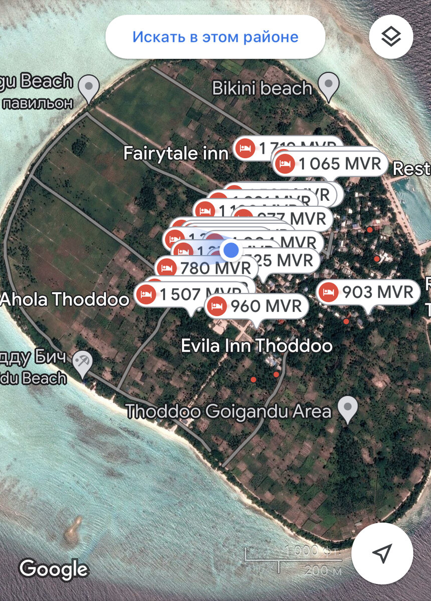 Выбор гестов на Тодду огромен