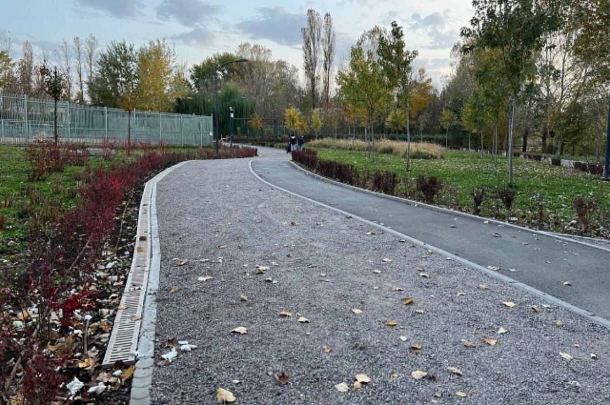    Губернатор Дона раскритиковал работы по созданию экопарка вдоль Темерника