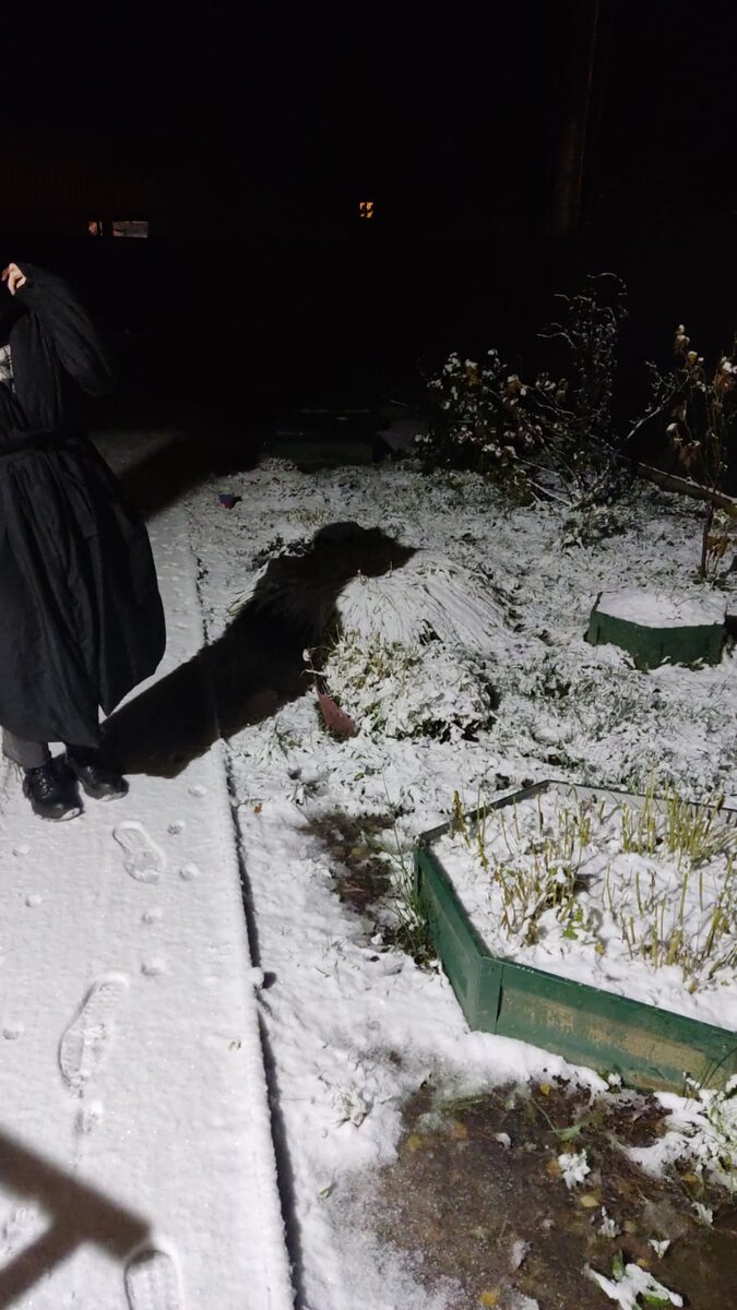 Судя по маленьким следам, у нас были четвероногие гости. 