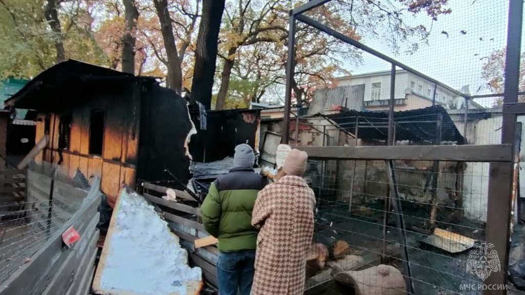    Фото: пресс-служба ГУ МЧС РФ по Саратовской области