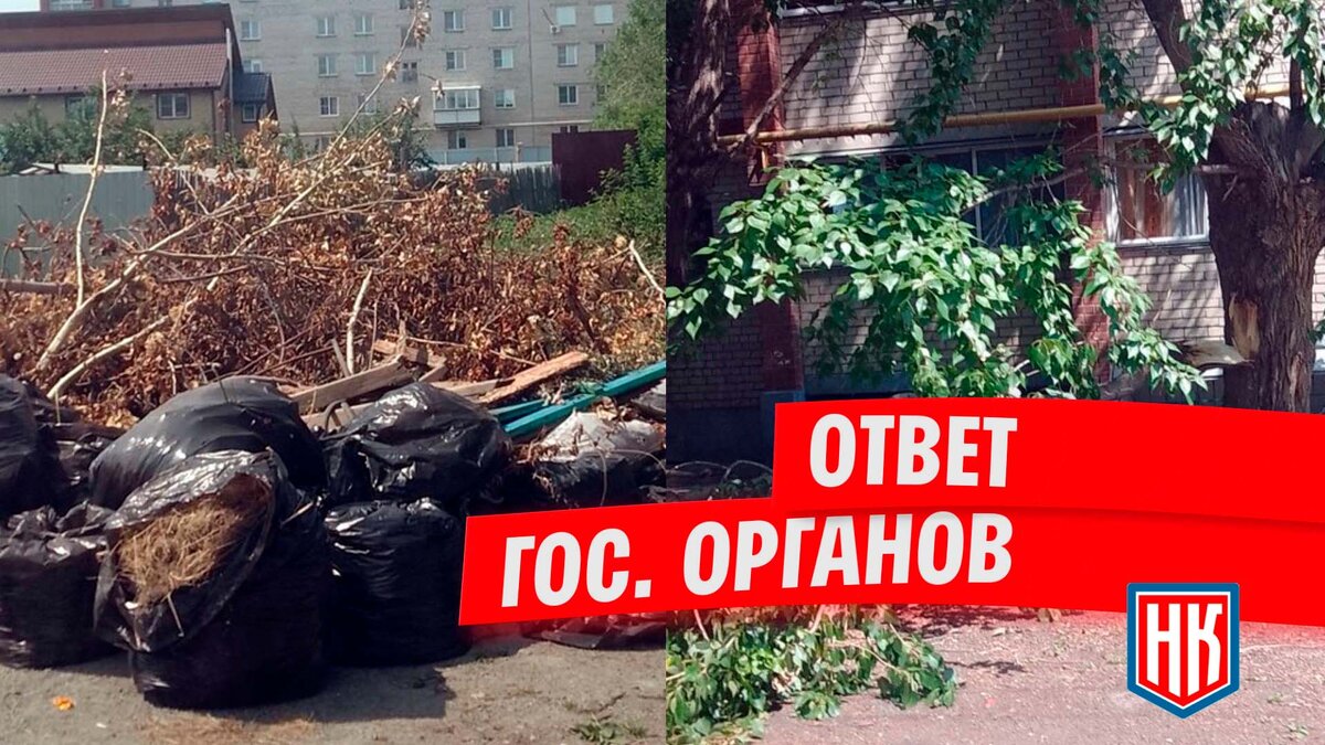 Получено два ответа из Коркино: о мусорном безобразии и сломанном дереве |  МОО Народный КОНТРОЛЬ | Дзен