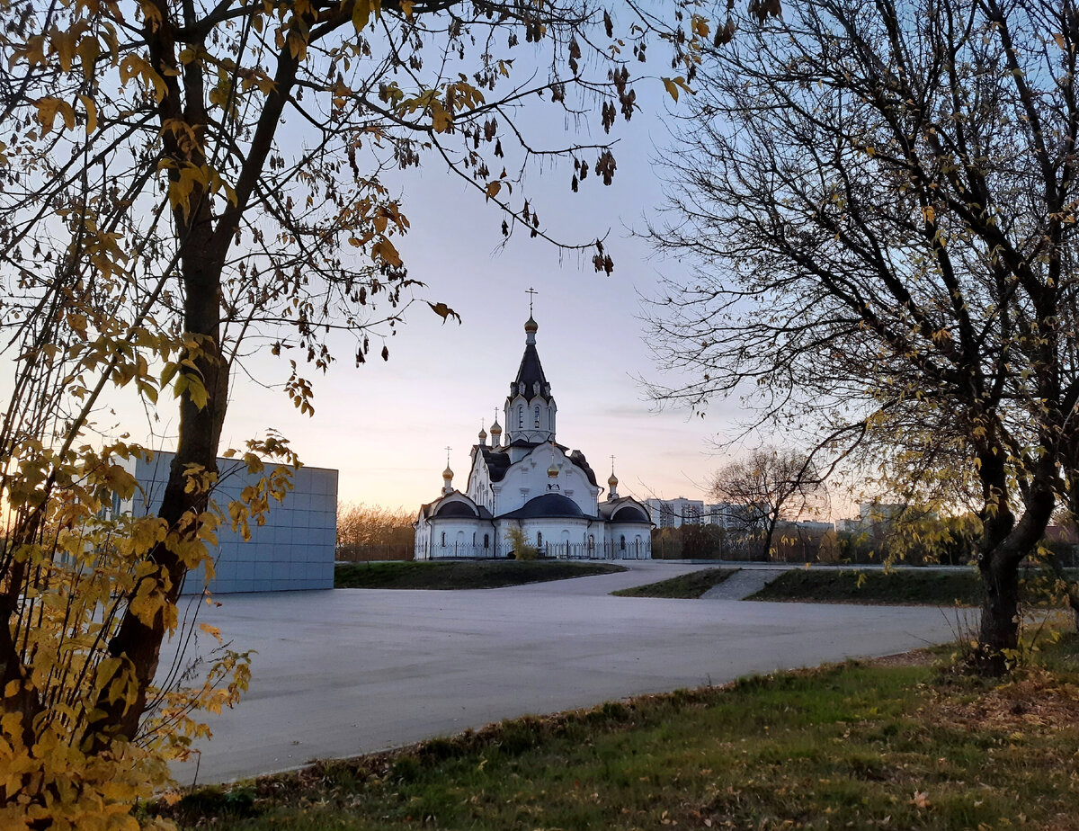 красивые места в митино для