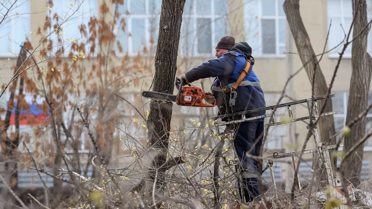     Экологи бьют тревогу — леса и рощи Ростова заполоняют несанкционированные свалки. Между тем, на содержание объектов озеленения, как и на санитарное содержание городских лесов в донской столице ежегодно тратятся миллионы рублей.