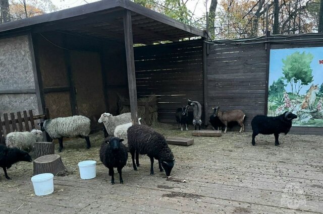    Фото: ГУ МЧС России