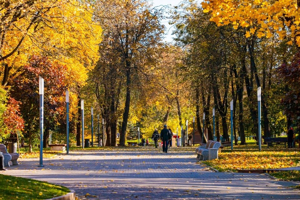 Фото Арсения Тимашова