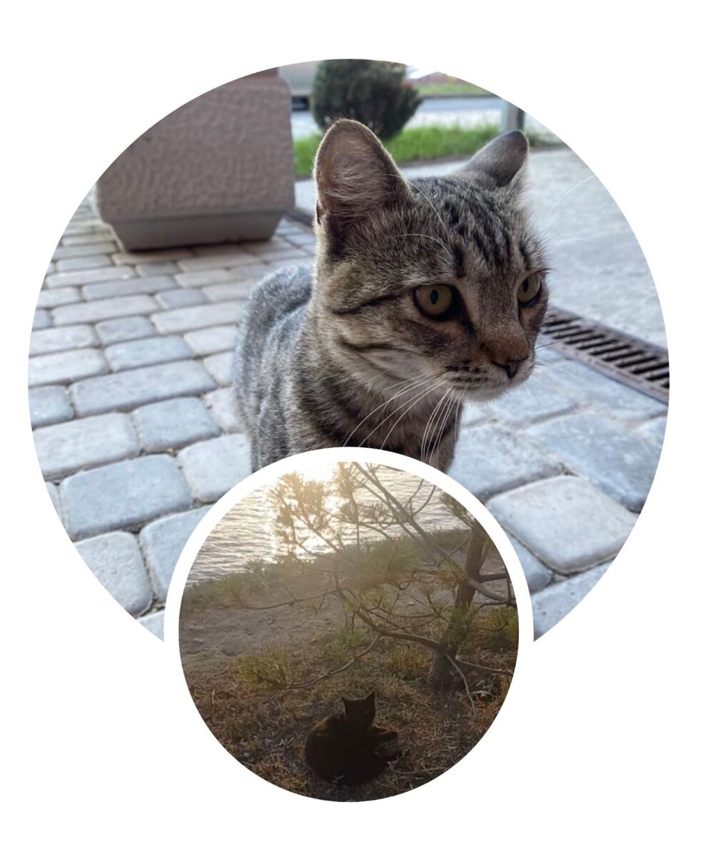 Набережная "Высокий берег" (Анапа, 2023г.)