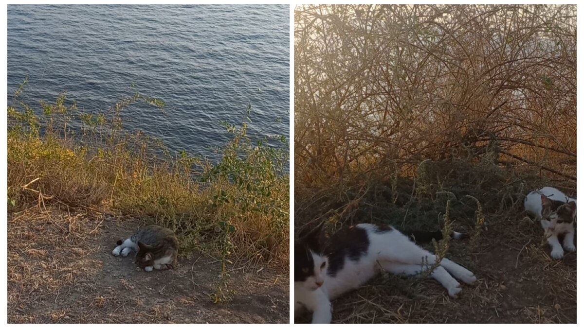 Набережная "Высокий берег" (Анапа, 2023г.)