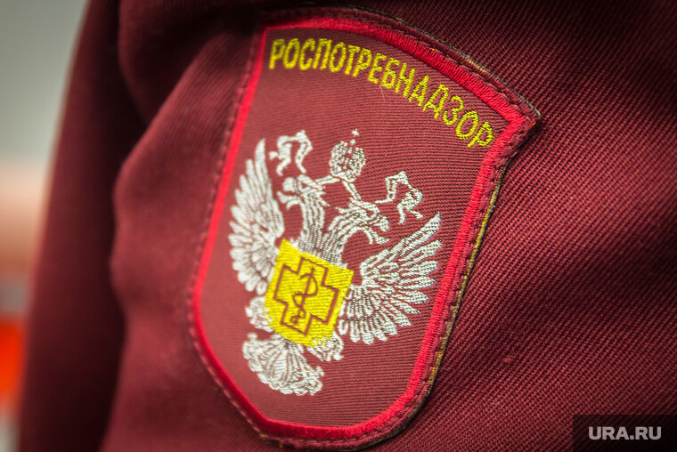   Организацию проверяли перед проведением фестиваля