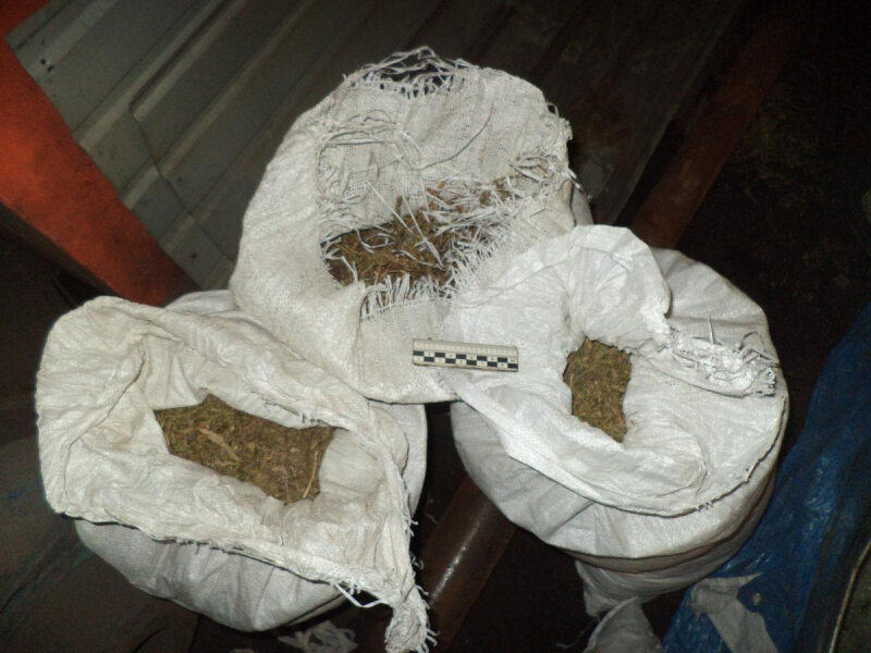    Фото: УМВД России по Амурской области