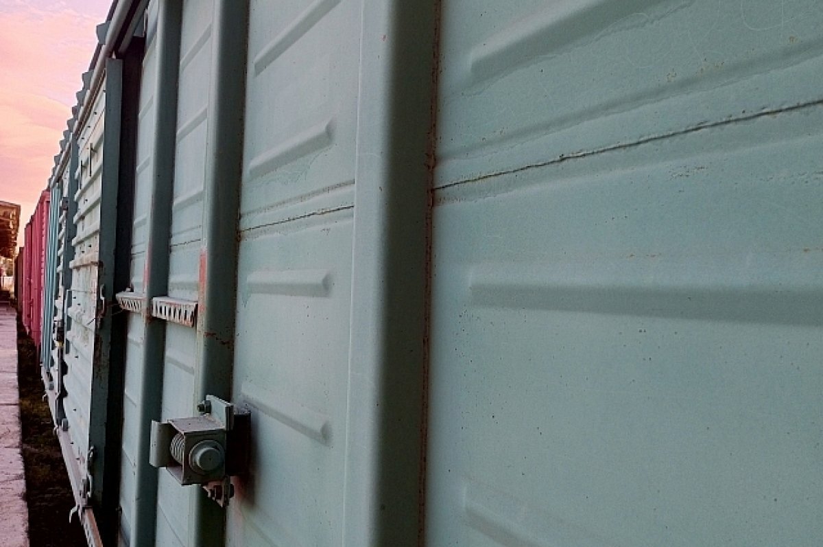    Двое железнодорожников погибли под поездом в Курганской области