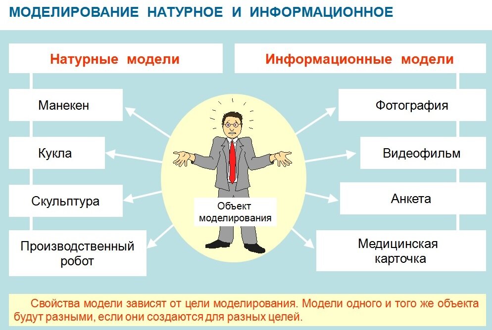 Виды моделей цели моделирования. Информационная модель и натурная модель. Свойства объекта моделирования. Классификация натурных моделей. Информационная модель человека.