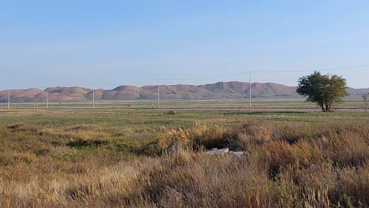 В окрестностях Аркалыка - отвалы, деревьев практически нет