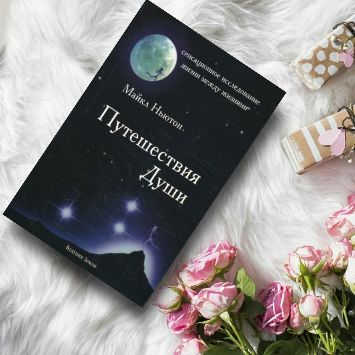 Путешествие Души (Майкл Ньютон)