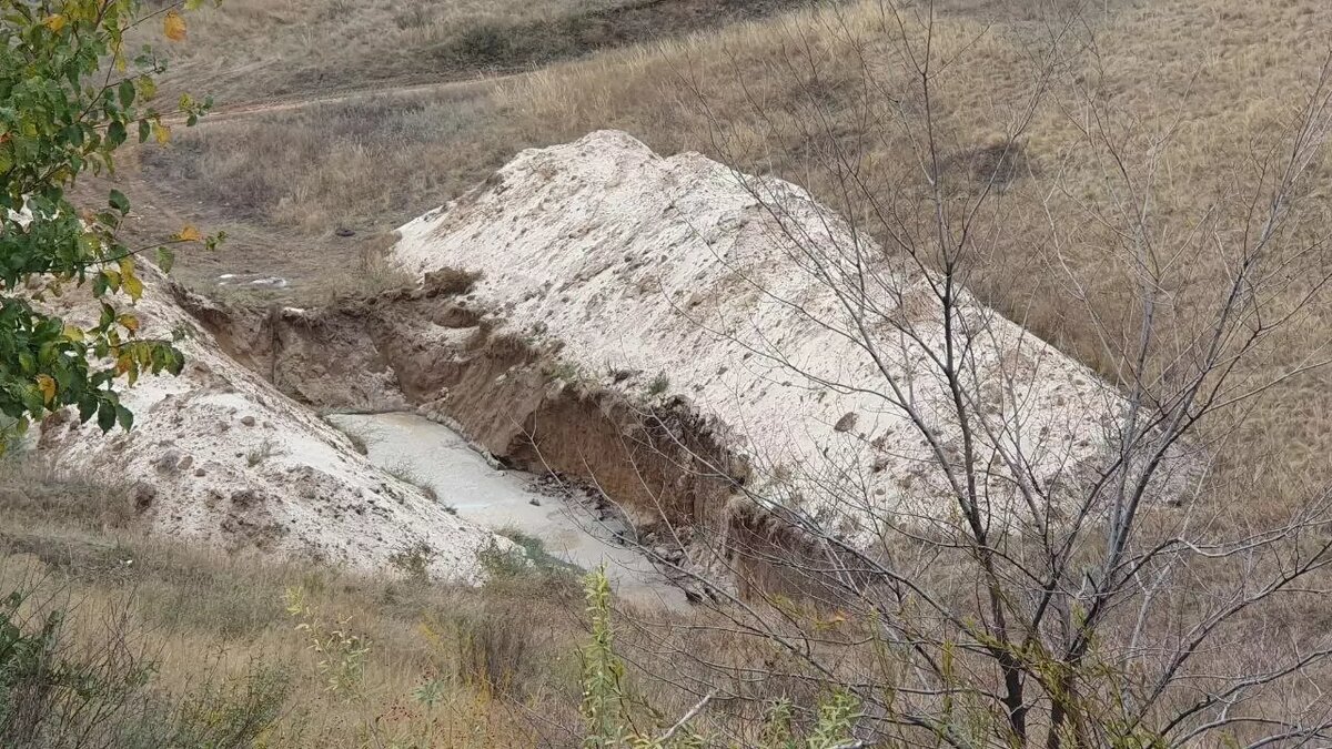     Ужасный запах в поселке Гурмак вызван трупами животных, считают местные жители и зооактивисты.