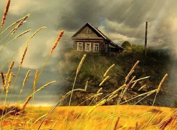 Иллюстрации из доступного источника 