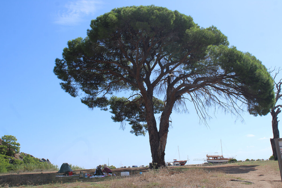 А где угодно!