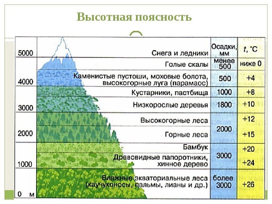 Горная зональность. Природные зоны ВЫСОТНОЙ поясности. Высотная поясность крымских гор. Высотная поясность Саяны. Высотная поясность Южного Урала таблица.