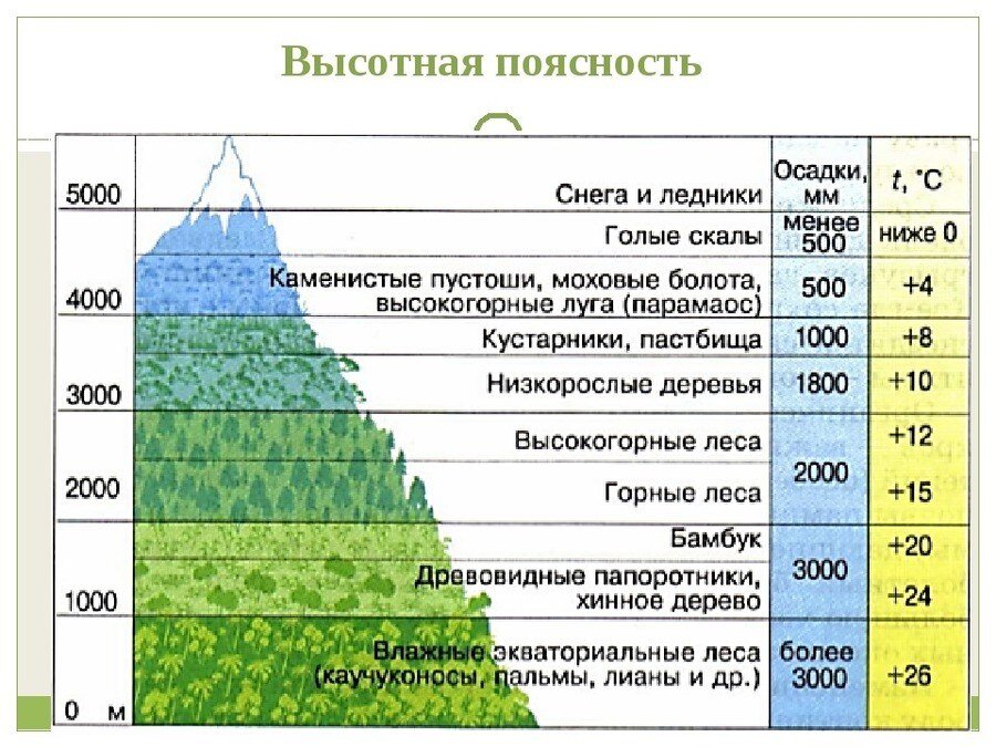 Верно ли следующее утверждение африка это образец проявления широтной зональности