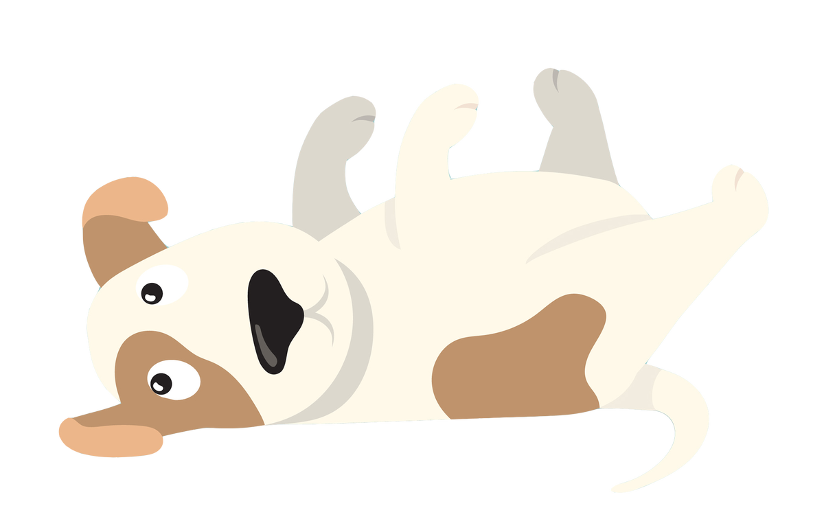 Онлайн-запись доступна
только для «Ветеринарного госпиталя»
на ул. Кржижановского дом 5., корп. 1Запись на прием