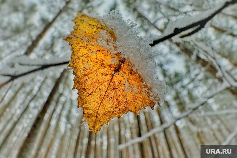    В Кургане ожидается похолодание до -10 градусов