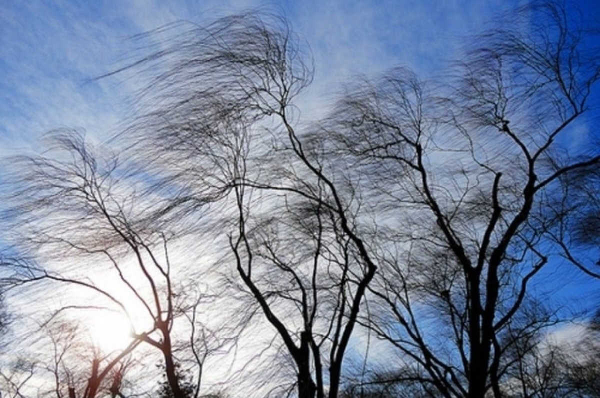    В Хакасии МЧС предупреждает о сильном ветре до 25 м/с