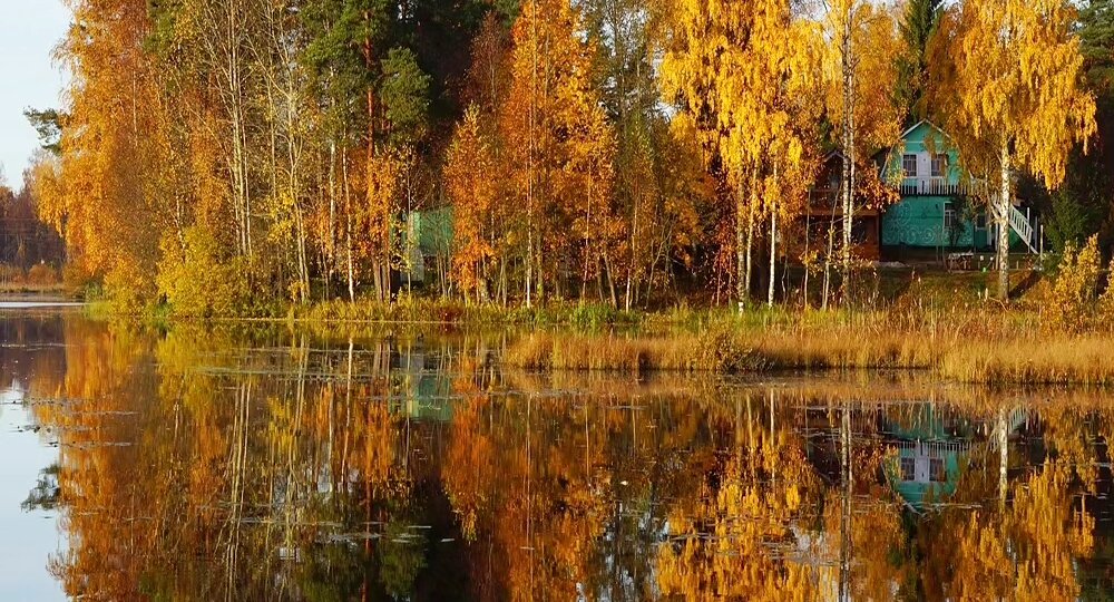 Осень в Токсово