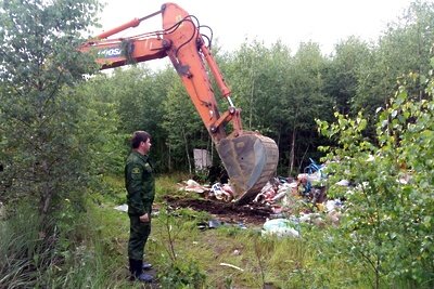    Уборка и вывоз мусора из подмосковного леса © Пресс-служба Комитета лесного хозяйства Московской области