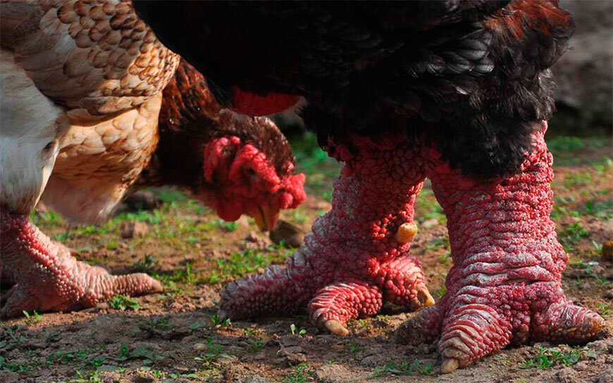 Вот это объёмы! 