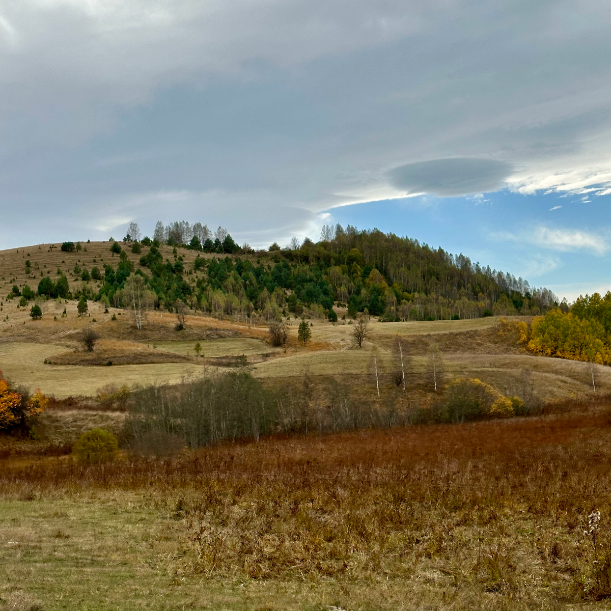 Золото дорог