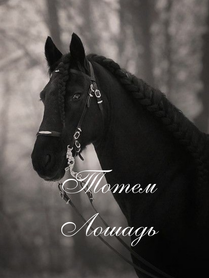 Фото из открытого источника, коллаж автора.