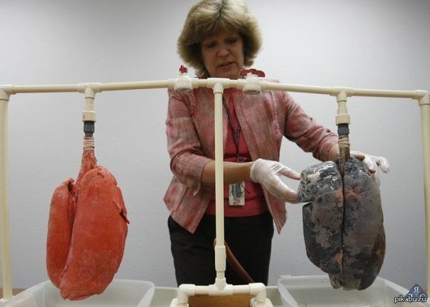 ☝Приглядись внимательно курящий человек на цвет своих лёгких ☝