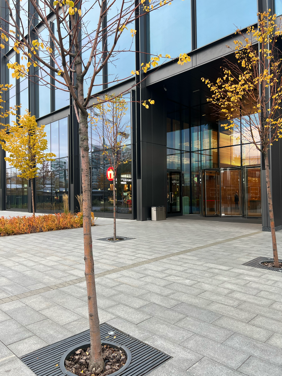 Кофемания Bez Tarelok Arcus