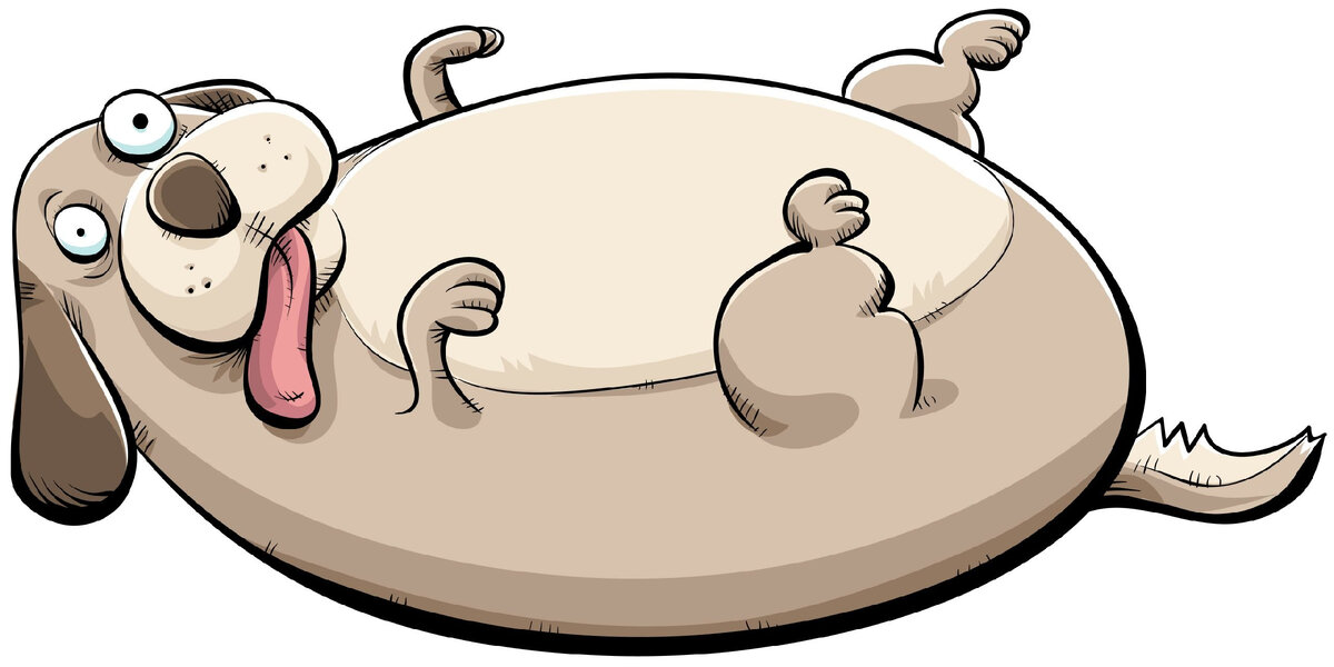 Бобик всё... 