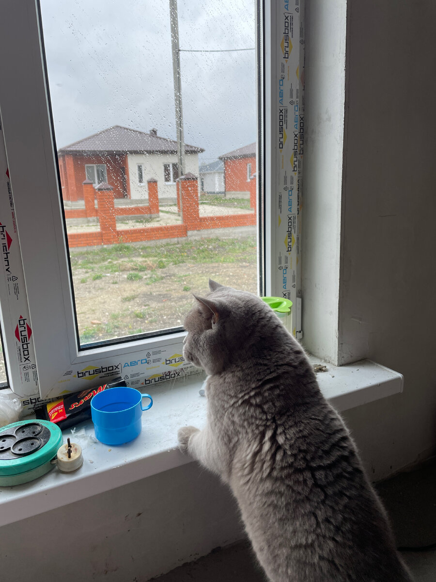 Сегодня у нас дождь