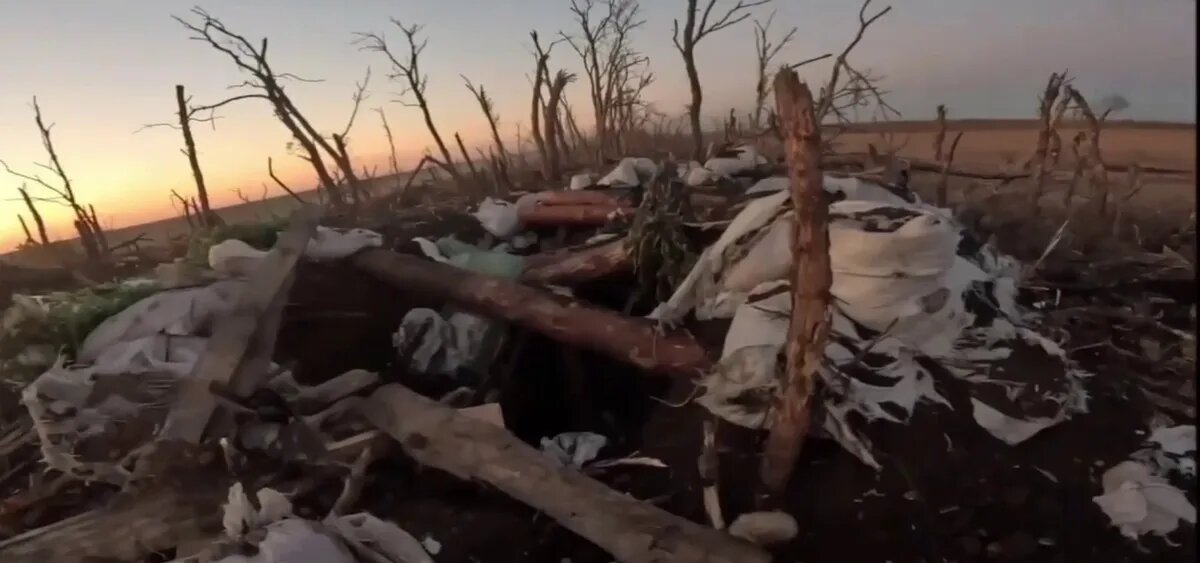 Фото: кадр из видео