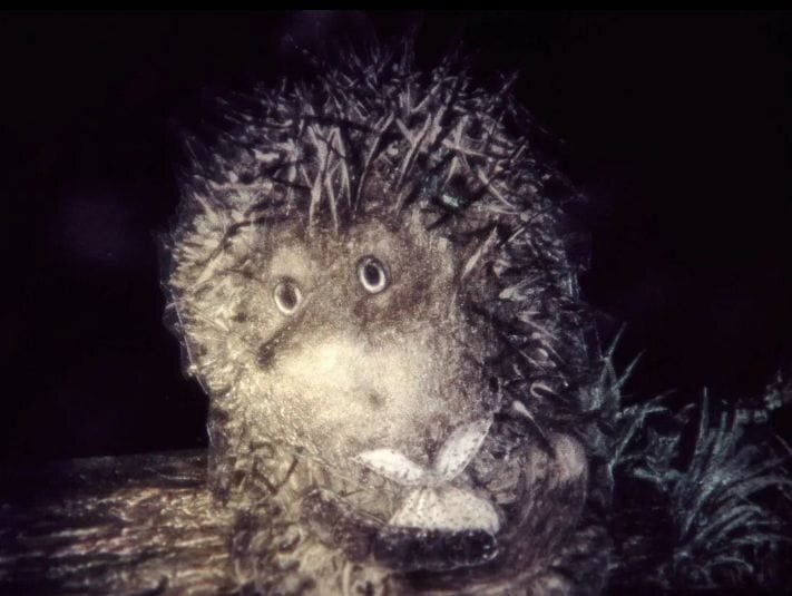 Из открытых источников