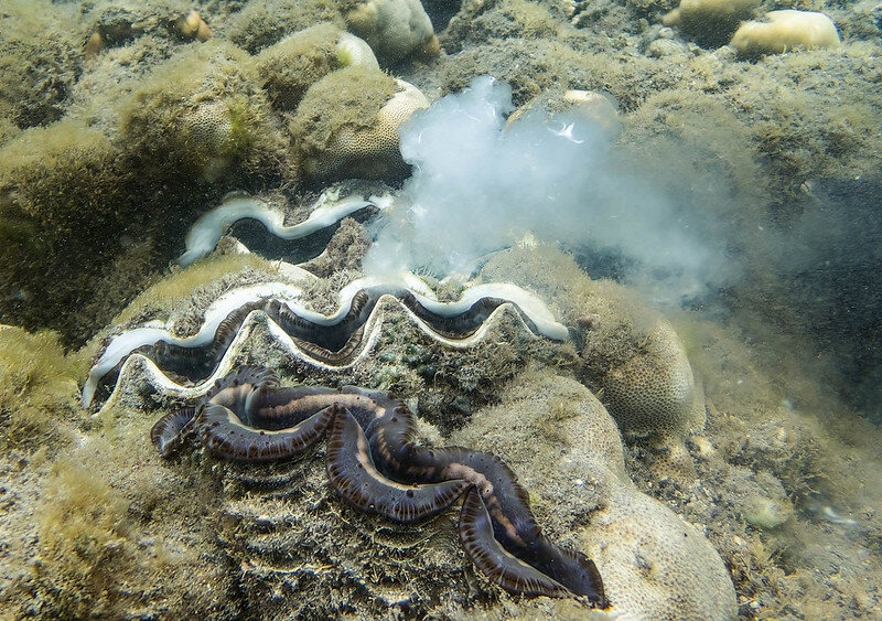 Лариса, я там тебе подарочков наплевал.