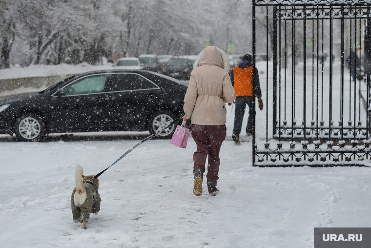    27 октября в регионе ожидаются небольшой снег и местами гололедица