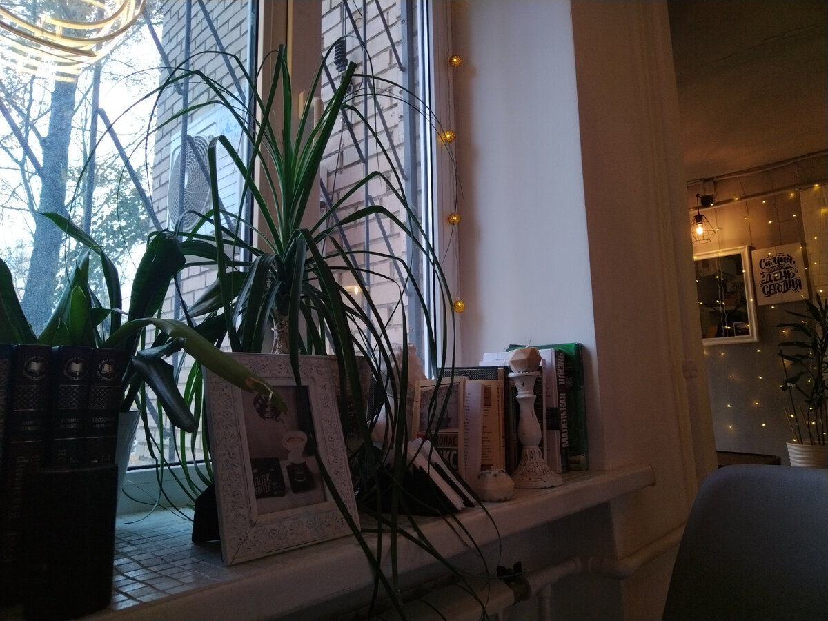 Фото автора 