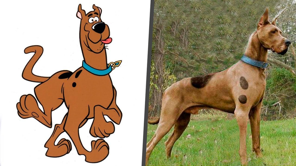 Кстати, прототипом смешного пса как раз является собака породы немецкий дог — только в карикатурном формате.