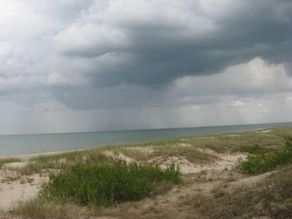 Источник фото: wikimedia