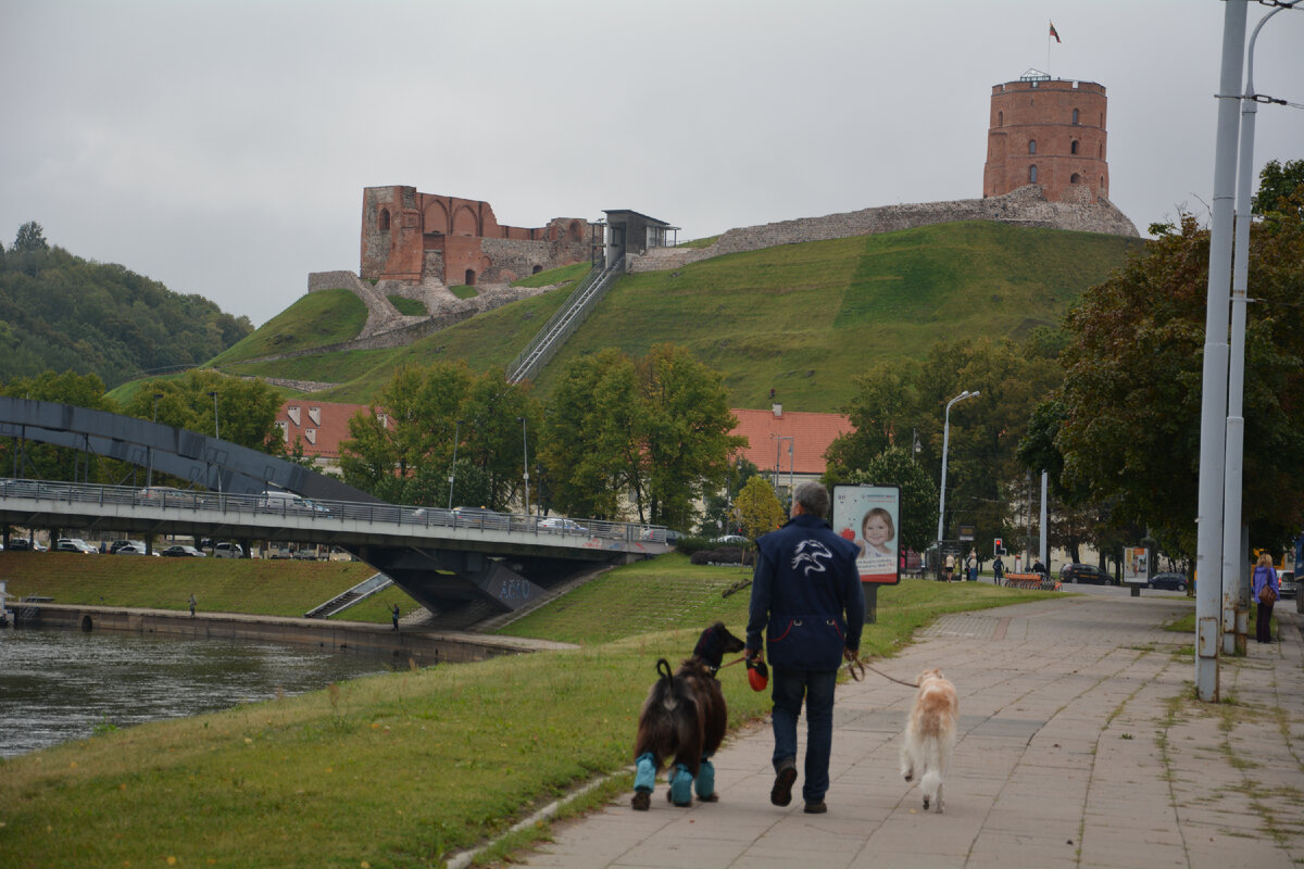 Вильнюс. Утренняя прогулка